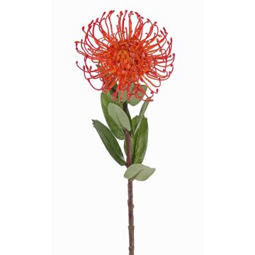 Kunst Nadelkissen Protea BAILY, orange, 55cm, Ø10cm Kunst Nadelkissen Protea BAILY, orange, 55cm, Ø10cm