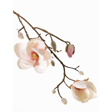Dekozweig Magnolie KOSTAS, creme-rosa, 55cm, Ø6-8cm