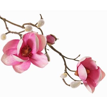 Dekozweig Magnolie KOSTAS, rosa-pink, 55cm, Ø6-8cm Dekozweig Magnolie KOSTAS, rosa-pink, 55cm, Ø6-8cm