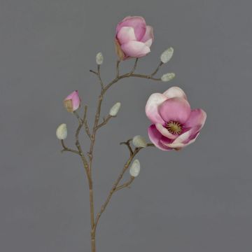 Dekozweig Magnolie KOSTAS, rosa-pink, 55cm, Ø6-8cm