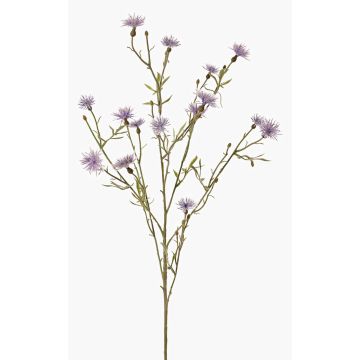Dekozweig Kornblume ZENOBIOS, blau-lila, 80cm, Ø3-4cm Dekozweig Kornblume ZENOBIOS, blau-lila, 80cm, Ø3-4cm