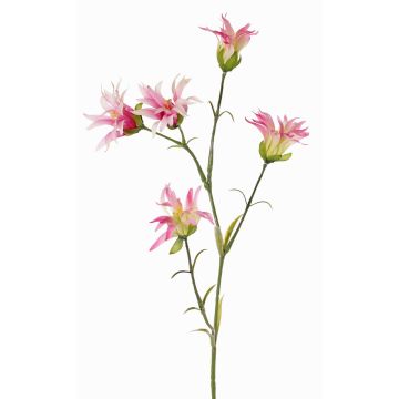 Kunstblume Japanische Nelke KASTALIA, rosa, 65cm, Ø4-5cm Kunstblume Japanische Nelke KASTALIA, rosa, 65cm, Ø4-5cm