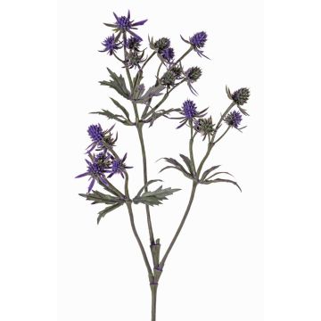 Dekozweig Edeldistel KALYPSO, dunkelviolett, 65cm, Ø3-4cm