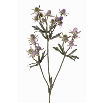 Dekozweig Edeldistel KALYPSO, lila, 65cm, Ø3-4cm