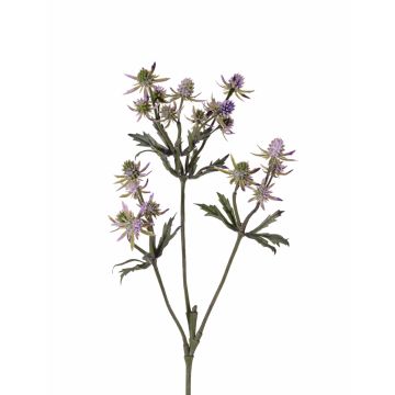 Dekozweig Edeldistel KALYPSO, lila, 65cm, Ø3-4cm