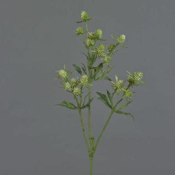 Dekozweig Edeldistel KALYPSO, grün, 65cm, Ø3-4cm