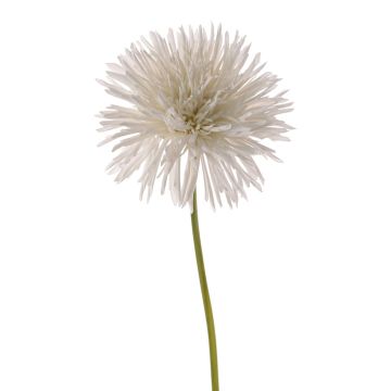 Kunst Chrysantheme NANDITA, weiß, 60cm, Ø15cm Kunst Chrysantheme NANDITA, weiß, 60cm, Ø15cm