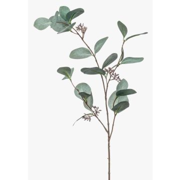 Deko Zweig Eukalyptus MAXEN mit Früchten, grün-grau, 75cm