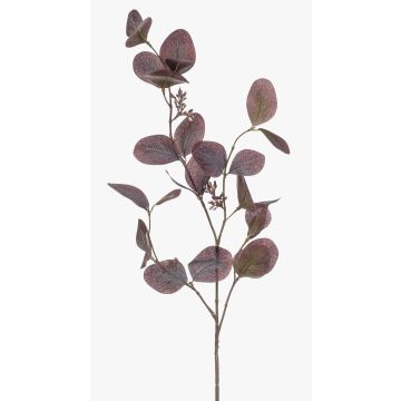 Deko Zweig Eukalyptus MAXEN mit Früchten, violett-grau, 75cm