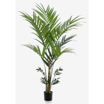 Kunstpalme Kentia Palme NESTA, 180cm