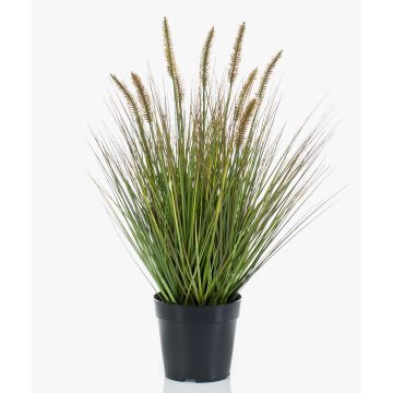 Kunstpflanze Gras Federborstengras YWAIN mit Rispen, beige-grün, 60cm