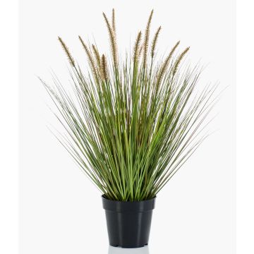 Kunstpflanze Gras Federborstengras YWAIN mit Rispen, beige-grün, 70cm