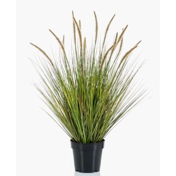 Kunstpflanze Gras Federborstengras YWAIN mit Rispen, beige-grün, 85cm
