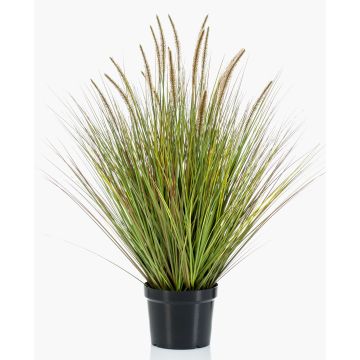 Kunstpflanze Gras Federborstengras YWAIN mit Rispen, beige-grün, 100cm