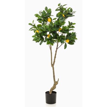 Zitronenbaum künstlich MAKOTO, Kunststamm, mit Früchten, 150cm Zitronenbaum künstlich MAKOTO, Kunststamm, mit Früchten, 150cm
