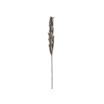 Kunst Sisal-Agaven Blüte LABIRO, crossdoor, braun-beige, 110cm Kunst Sisal-Agaven Blüte LABIRO, crossdoor, braun-beige, 110cm