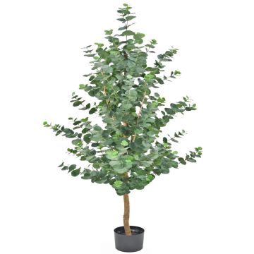 Künstlicher Eukalyptus Baum WEONFYN, Kunststamm, grün, 180cm Künstlicher Eukalyptus Baum WEONFYN, Kunststamm, grün, 180cm