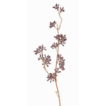 Eukalyptuszweig künstlich SOHA mit Früchten, braun, 60cm Eukalyptuszweig künstlich SOHA mit Früchten, braun, 60cm