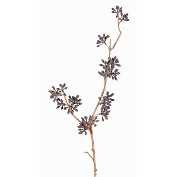 Eukalyptuszweig künstlich SOHA mit Früchten, dunkelbraun, 60cm Eukalyptuszweig künstlich SOHA mit Früchten, dunkelbraun, 60cm