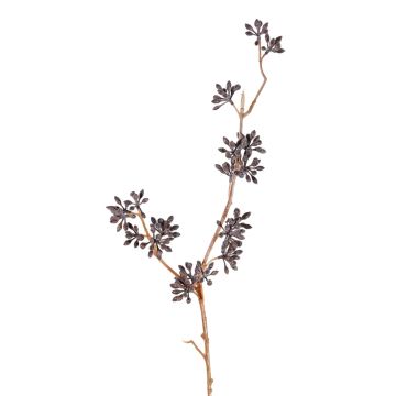 Eukalyptuszweig künstlich SOHA mit Früchten, dunkelbraun, 60cm