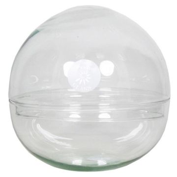 Kugel Terrarium BRYSON aus Glas, recycelt, klar, 19,5cm, Ø19,5cm Kugel Terrarium BRYSON aus Glas, recycelt, klar, 19,5cm, Ø19,5cm