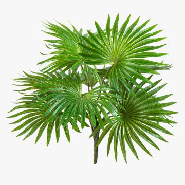 Künstliche Washingtonia Palme SCHEDIR auf Steckstab, 35cm