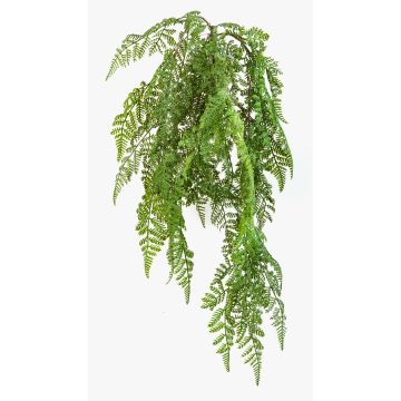 Deko Adlerfarn Hänger ARCHES auf Steckstab, grün, 60cm