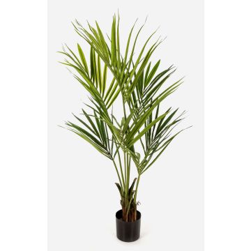 Kunst Kentia Palme OMAYRA, 140cm