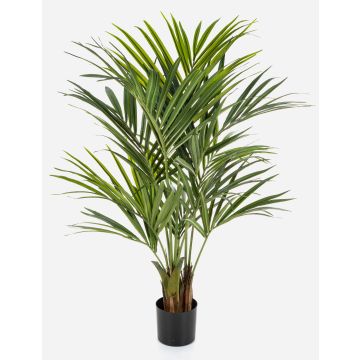 Kunst Kentia Palme OMAYRA, buschig, 140cm