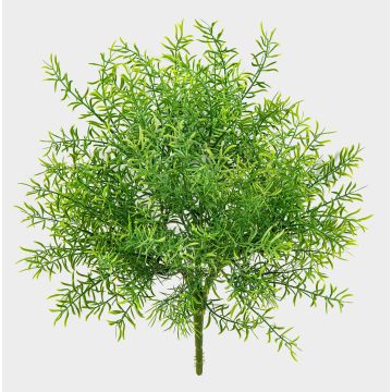 Plastik Asparagus sprengeri ERRAI auf Steckstab, crossdoor, 40cm Plastik Asparagus sprengeri ERRAI auf Steckstab, crossdoor, 40cm