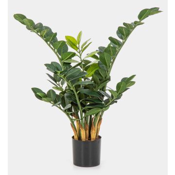 Deko Zamioculcas Zamiifolia AKONO, 65cm
