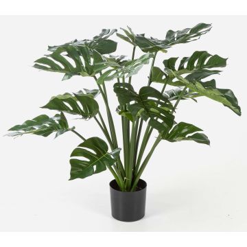 Deko Philodendron Monstera Deliciosa MEISSA, 80cm Deko Philodendron Monstera Deliciosa MEISSA, 80cm