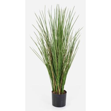 Kunst Fuchsschwansgras ALEGRIA, schwer brennbar, grün-braun, 80cm Kunst Fuchsschwansgras ALEGRIA, schwer brennbar, grün-braun, 80cm