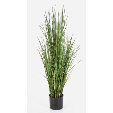 Kunst Fuchsschwansgras ALEGRIA, schwer brennbar, grün-braun, 120cm Kunst Fuchsschwansgras ALEGRIA, schwer brennbar, grün-braun, 120cm