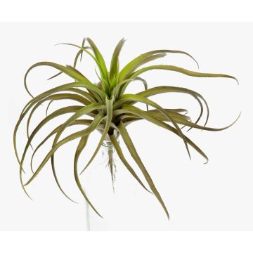Plastik Tillandsia Stricta PROPUS auf Steckstab, grün-braun, 25cm Plastik Tillandsia Stricta PROPUS auf Steckstab, grün-braun, 25cm
