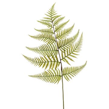 Künstliches Blatt Schwertfarn MBALI, grün, 80cm