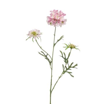 Künstlicher Zweig Scabiosa MARUA, rosa, 80cm