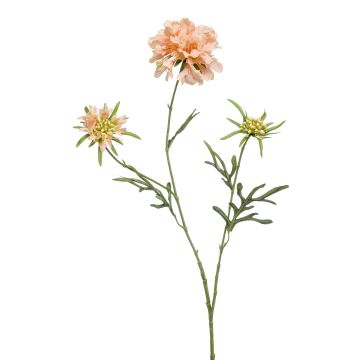 Künstlicher Zweig Scabiosa MARUA, pfirsich, 80cm