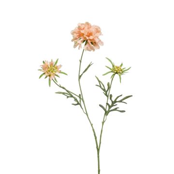 Künstlicher Zweig Scabiosa MARUA, pfirsich, 80cm