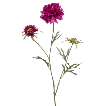 Künstlicher Zweig Scabiosa MARUA, violett, 80cm