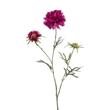 Künstlicher Zweig Scabiosa MARUA, violett, 80cm