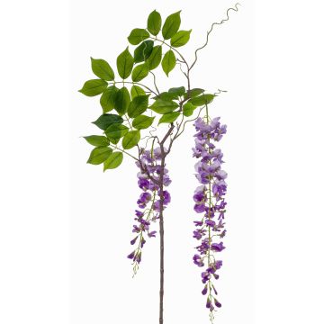 Künstliche Blume groß Blauregen Zweig NISSRINE mit Blüten, lila, 145cm Künstliche Blume groß Blauregen Zweig NISSRINE mit Blüten, lila, 145cm