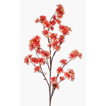 Künstliche Blume groß Kirschblütenzweig GIMA mit Blüten, koralle, 120cm Künstliche Blume groß Kirschblütenzweig GIMA mit Blüten, koralle, 120cm