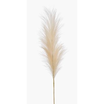 Kunstpflanze Pampasgras Rispe AMATSIA, creme, 115cm Kunstpflanze Pampasgras Rispe AMATSIA, creme, 115cm