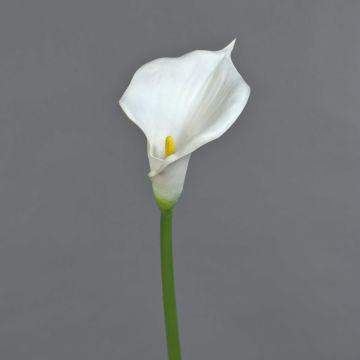 Calla künstlich DAISCHI, weiß, 70cm, 11x14cm