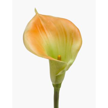 Calla künstlich DAISCHI, gelb-grün, 70cm, 11x14cm