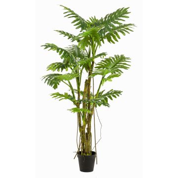 Künstliche Pflanze Philodendron Selloum EDHEM, 195cm