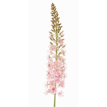 Plastik Steppenkerze SELINA, hellrosa, 105cm, Ø9cm Plastik Steppenkerze SELINA, hellrosa, 105cm, Ø9cm
