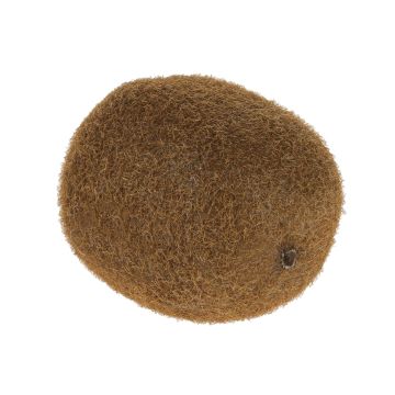 Kunststoff Kiwi SURATA, braun, 6cm Kunststoff Kiwi SURATA, braun, 6cm