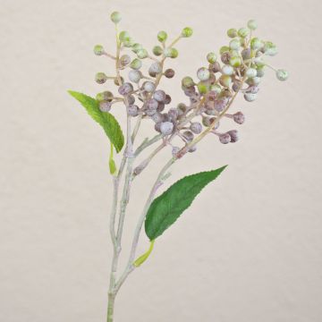 Dekozweig Holunderbeeren TEITH mit Früchten, braun-grün, 40cm